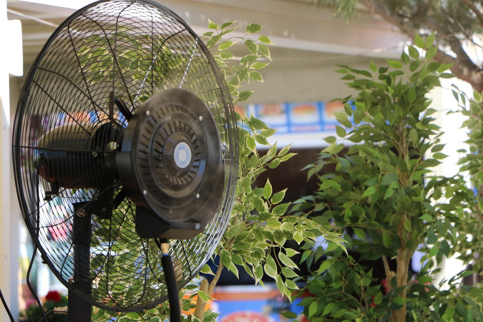 Circular fan blowing in a room with plants